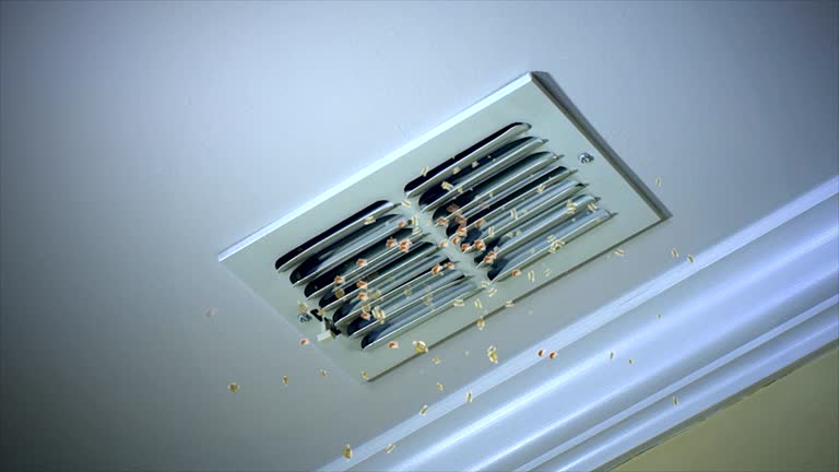 Best Air Duct Cleaning Near Me  in Camanche, IA