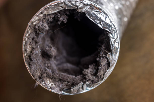Best Home Air Vent Cleaning  in Camanche, IA